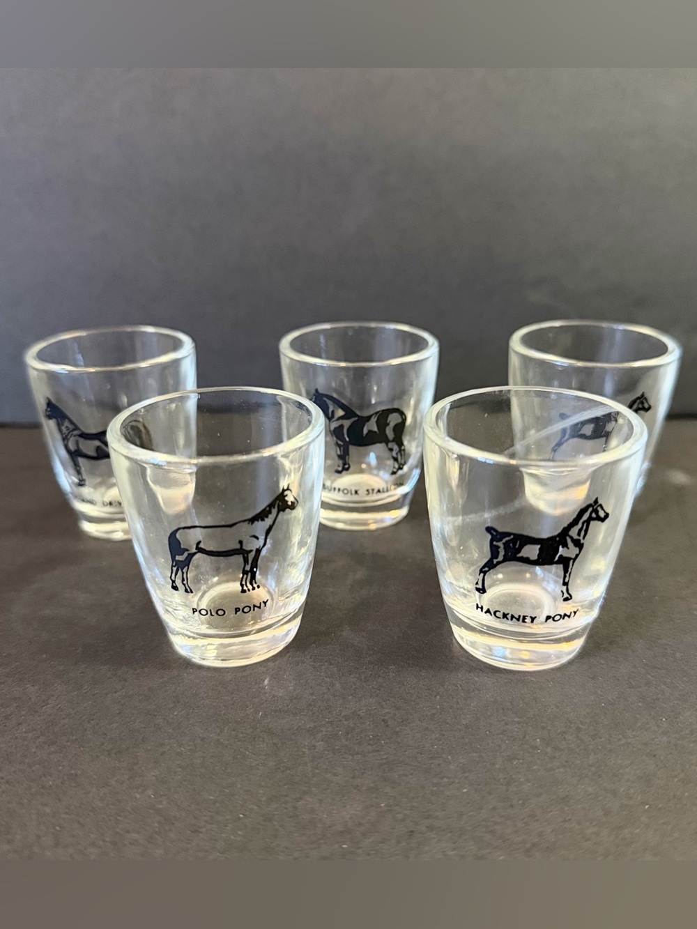 Hazel Atlas Shot Glasses MCM Pony Horse Breed Stallion Jigger Equestrian Set 5x